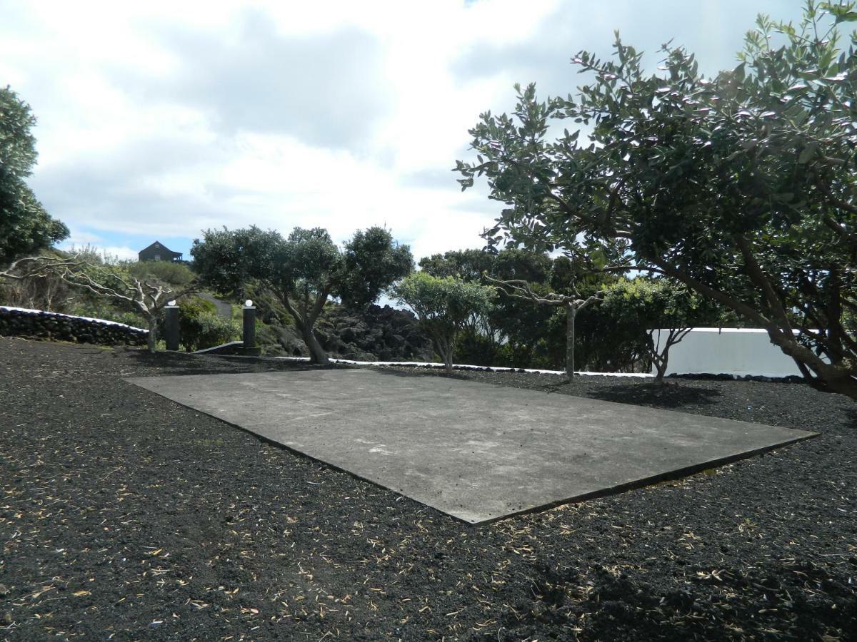 Farm stay Adega Ninho Da Cagarra *